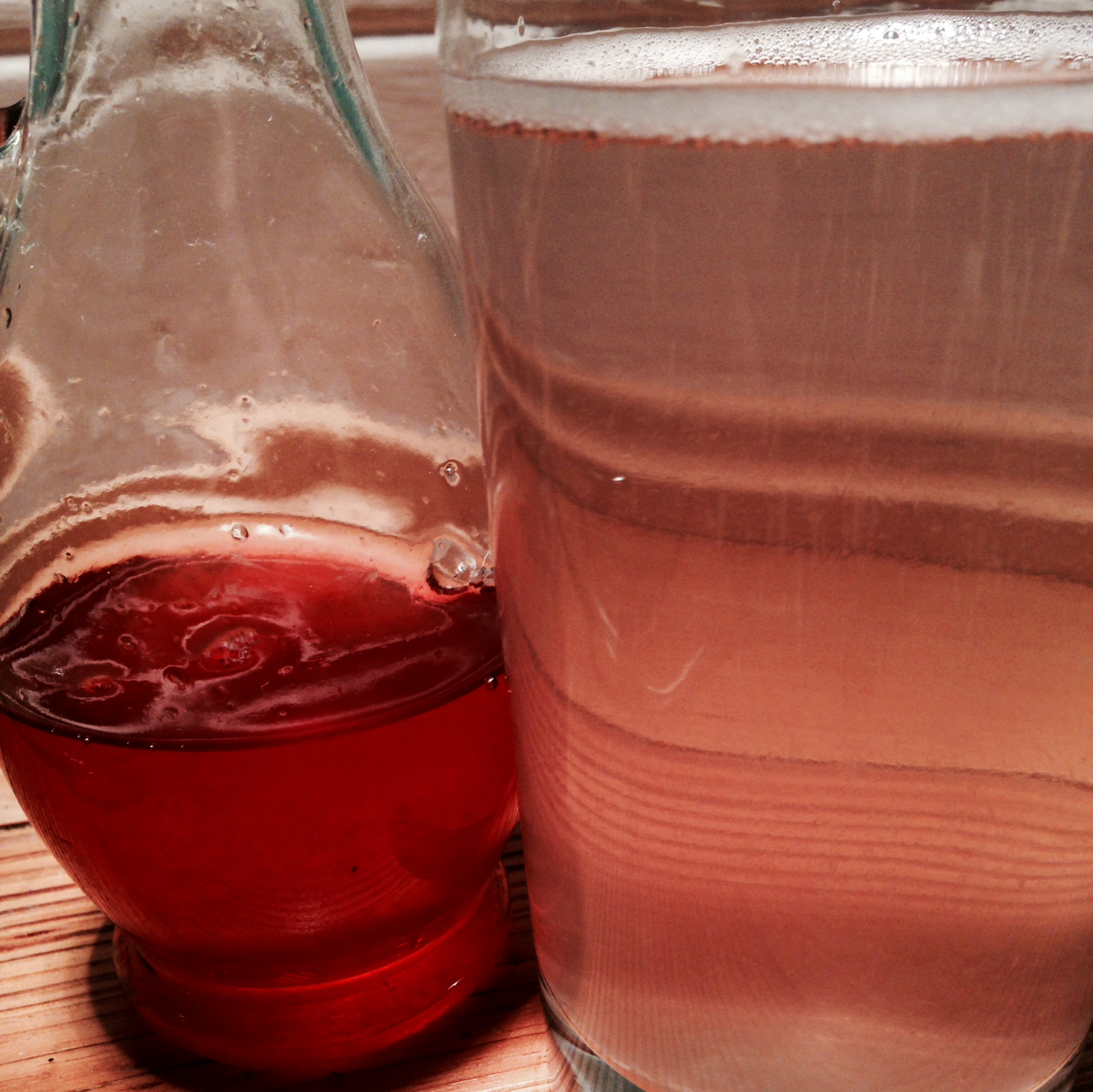 rhabarber sirup | pieplant syrup ❤