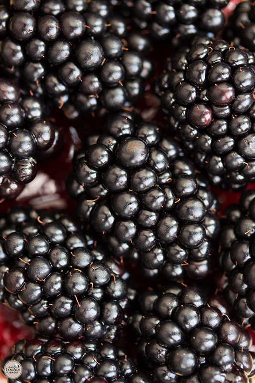 {#nomnomsguests} brombeer-tartelettes | sandra von das freulein backt (vegetarian) ❤