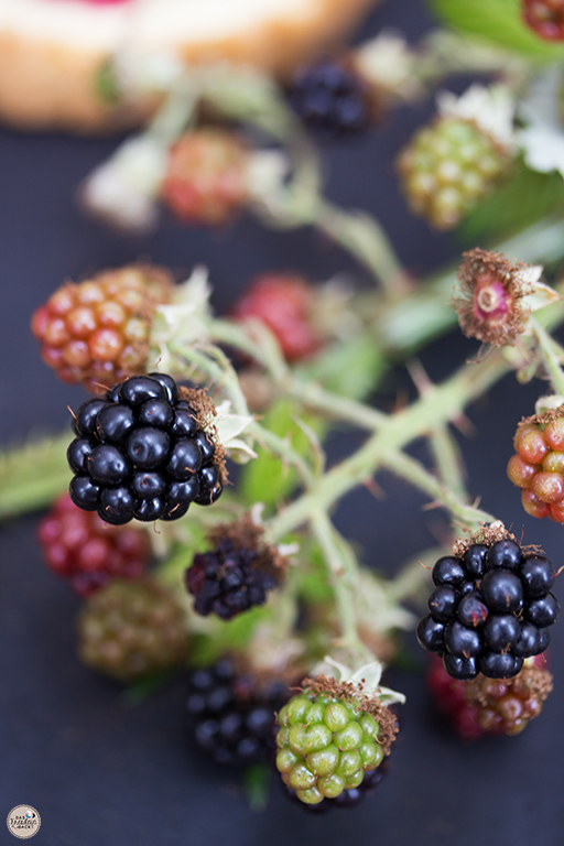 {#nomnomsguests} brombeer-tartelettes | sandra von das freulein backt (vegetarian) ❤