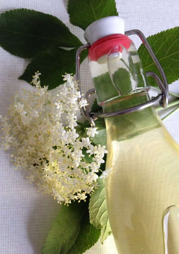 Holunderblütensirup | Elderflower Syrup ❤