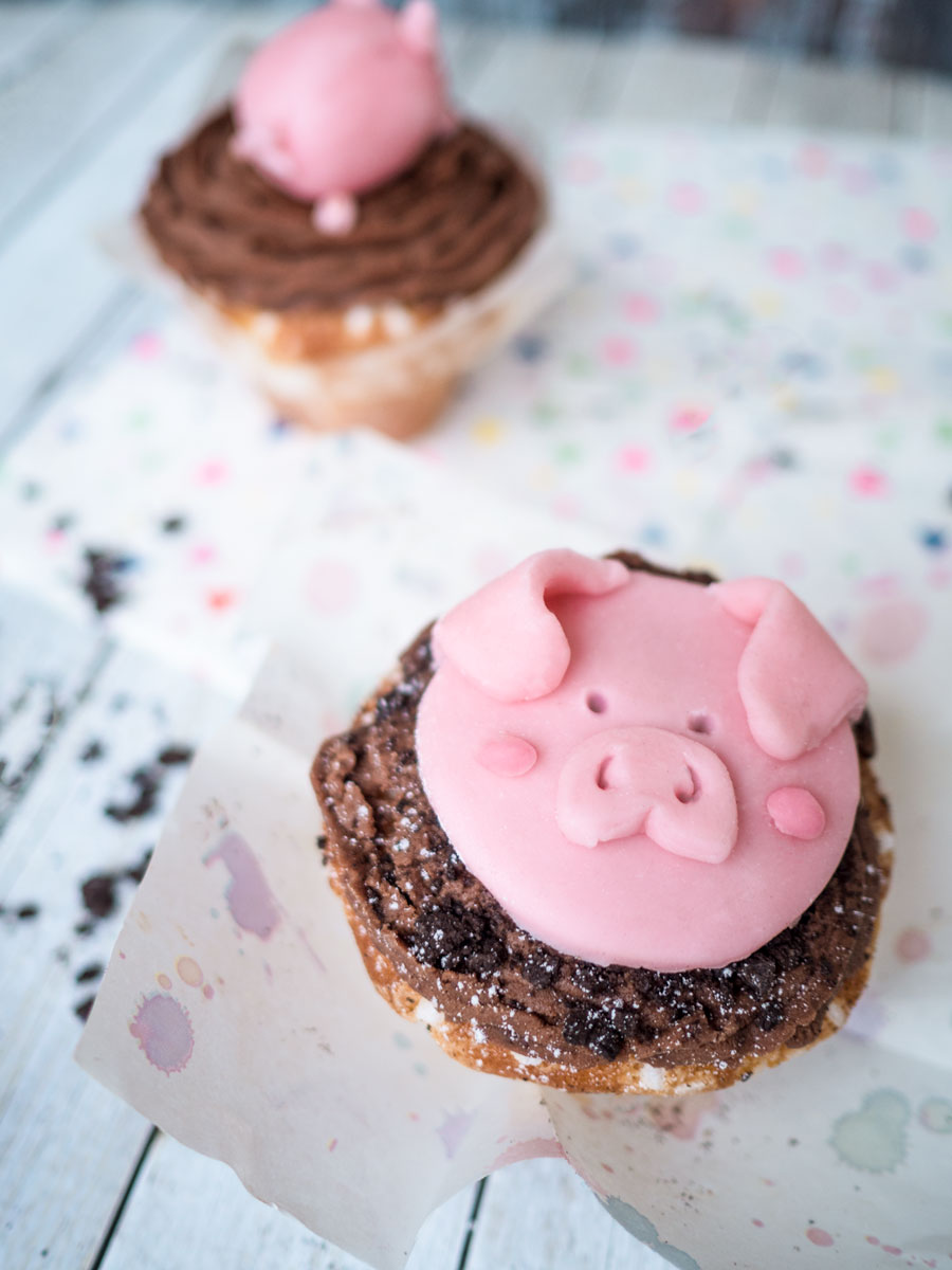 Schweine Cupcakes mit Schokoladen-Frosting