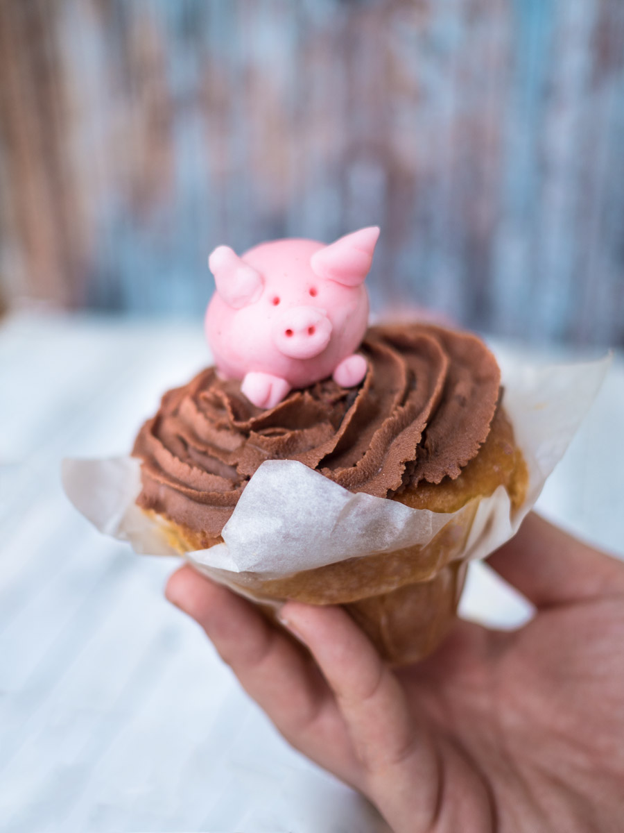 Schweine Cupcakes mit Schokoladen-Frosting