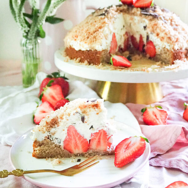 Erdbeer-Maulwurfkuchen ❤