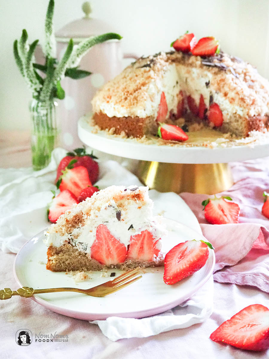 Erdbeer-Maulwurfkuchen