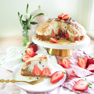 Erdbeer-Maulwurfkuchen
