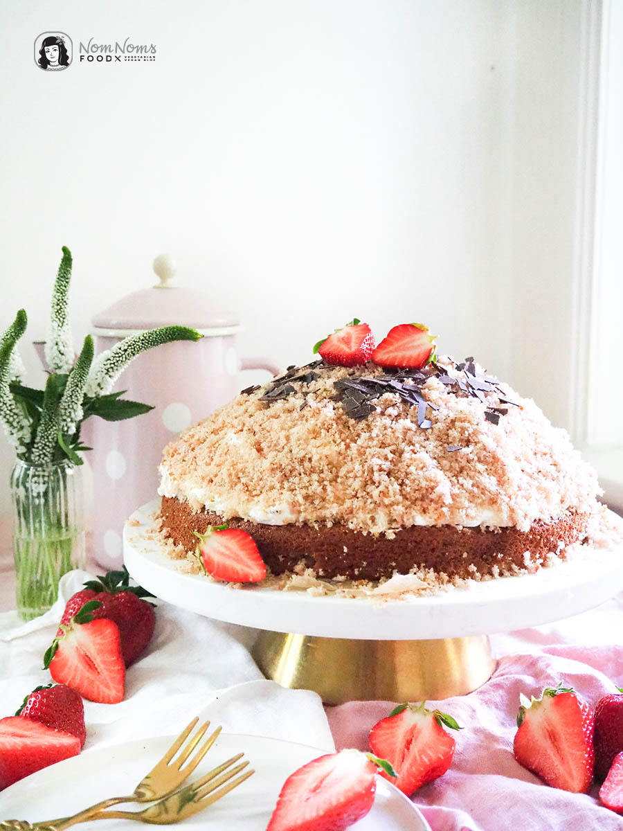 Erdbeer-Maulwurfkuchen
